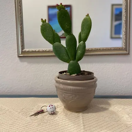 Montes Apartment *
